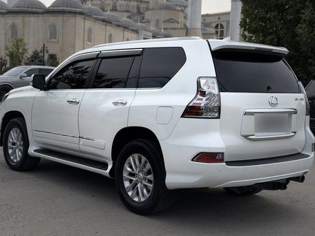 Lexus GX, 2023 — фото 6