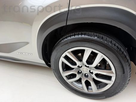 Lexus NX, 2017 — сүрөт 7