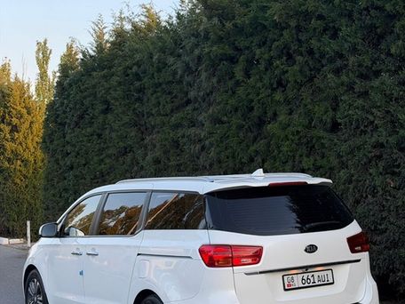 Kia Carnival, 2018 — фото 6