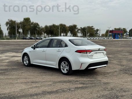Toyota Corolla, 2020 — сүрөт 5