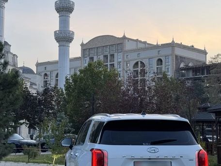 Hyundai Palisade, 2020 — photo 9