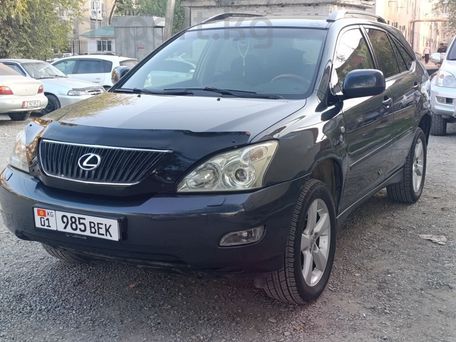 Lexus RX, 2004 — 照片 2