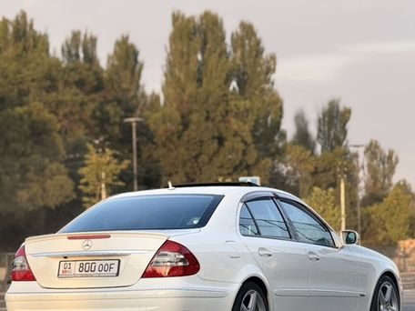 Mercedes-Benz E-Класс, 2008 — фото 15