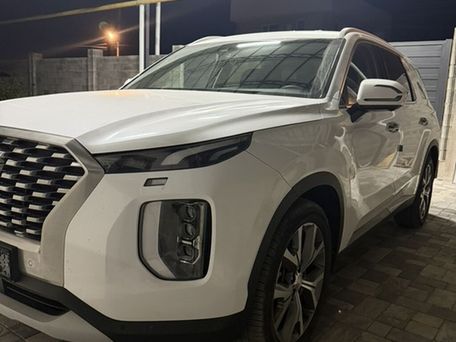 Hyundai Palisade, 2021 — photo 1