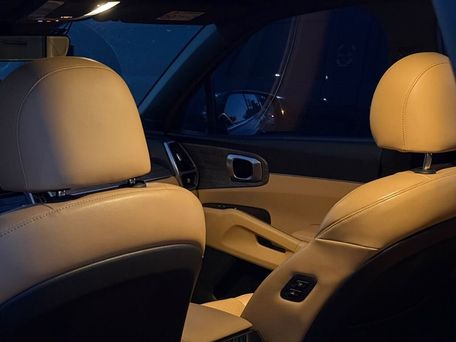 Kia Sorento, 2020 — photo 13