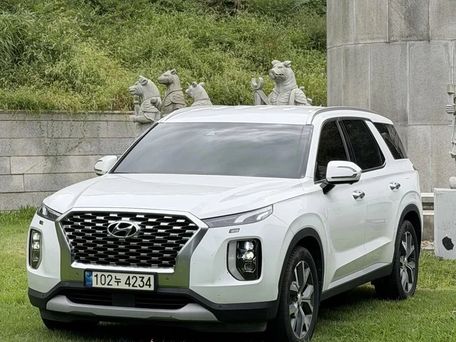 Hyundai Palisade, 2020