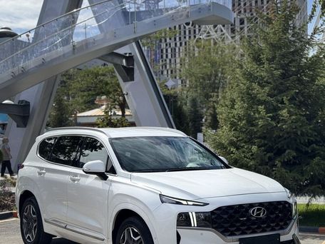 Hyundai Santa Fe, 2022 — сүрөт 6