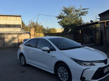 Toyota Corolla, 2019 — 照片 3