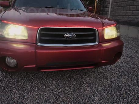 Subaru Forester, 2003 — 照片 2