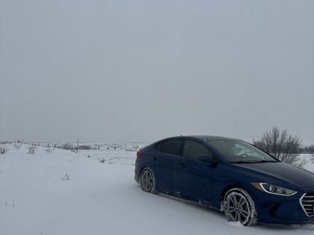 Hyundai Elantra, 2017 — photo 5