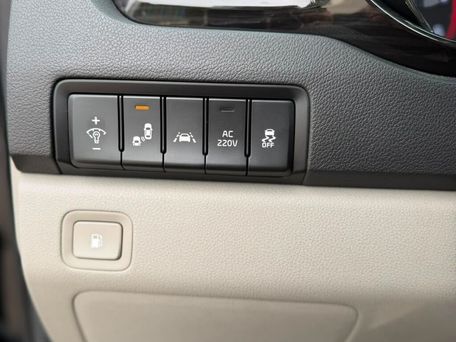 Kia Carnival, 2019 — сүрөт 17