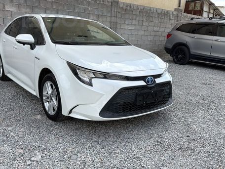 Toyota Corolla, 2021 — 照片 6