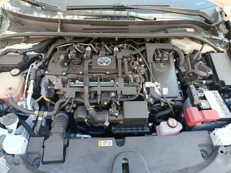 Toyota Levin, 2020 — сүрөт 8