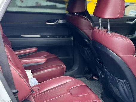 Hyundai Palisade, 2020 — photo 7