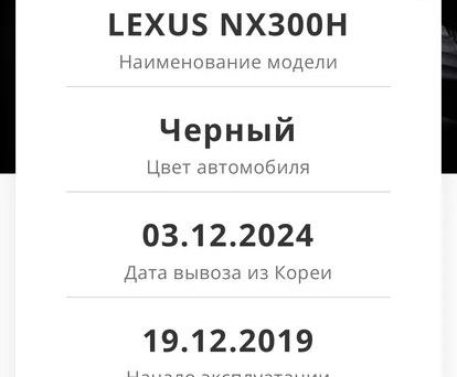 Lexus NX, 2019 — фото 11