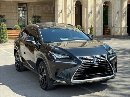 Lexus NX, 2019 — сүрөт 4