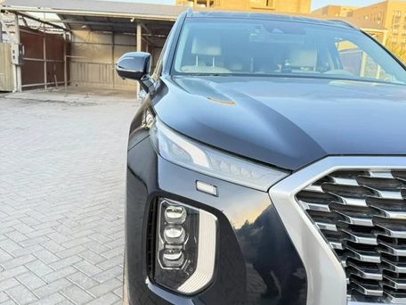 Hyundai Palisade, 2020 — photo 5
