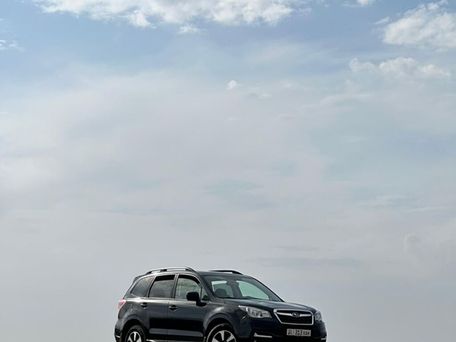 Subaru Forester, 2017 — фото 8