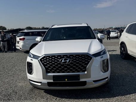 Hyundai Palisade, 2021 — 照片 2