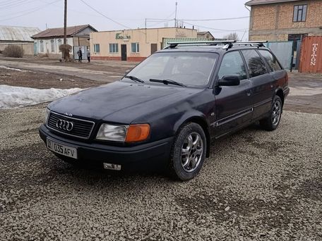 Audi 100, 1992 — 照片 10