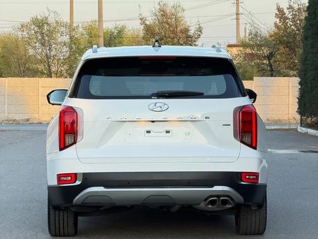 Hyundai Palisade, 2019 — photo 4