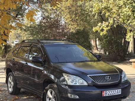 Lexus RX, 2003 — сүрөт 1