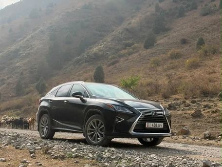 Lexus RX, 2019