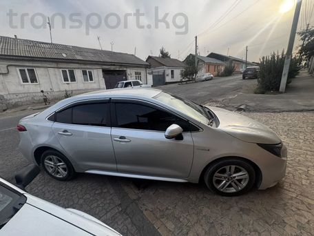 Toyota Levin, 2020 — сүрөт 3