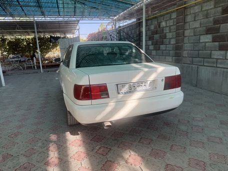 Audi 100, 1993 — сүрөт 8