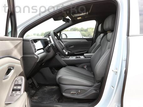 BYD Song L, 2026 — photo 12