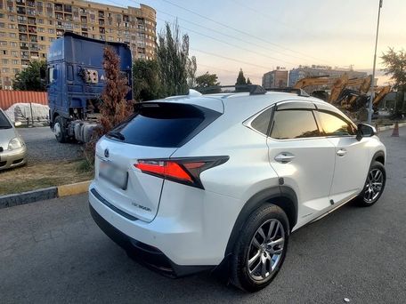 Lexus NX, 2017 — photo 4