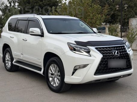 Lexus GX, 2023 — фото 3