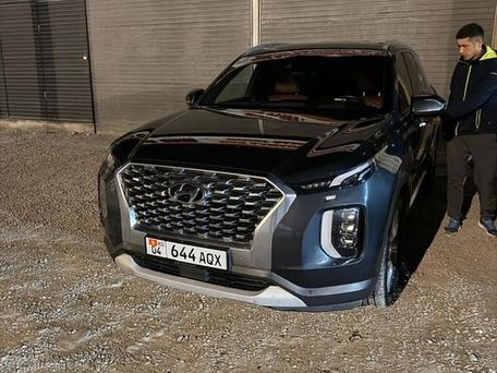 Hyundai Palisade, 2020 — фото 1