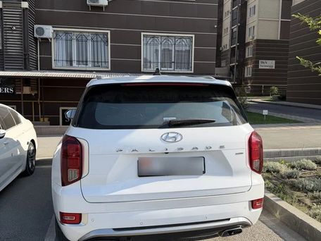 Hyundai Palisade, 2020 — photo 10