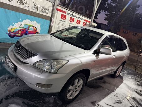 Lexus RX, 2003 — 照片 10