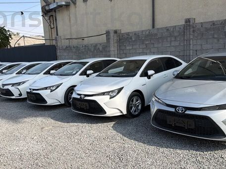 Toyota Corolla, 2021 — 照片 5