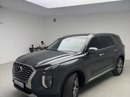 Hyundai Palisade, 2019 — фото 2