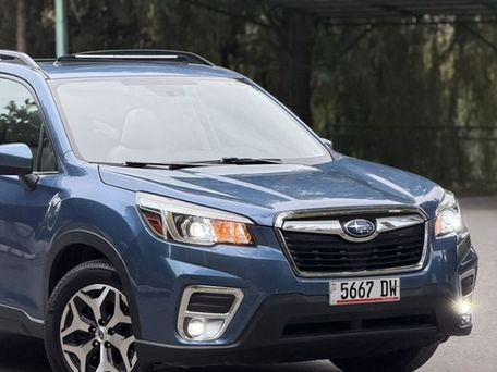 Subaru Forester, 2020 — фото 5