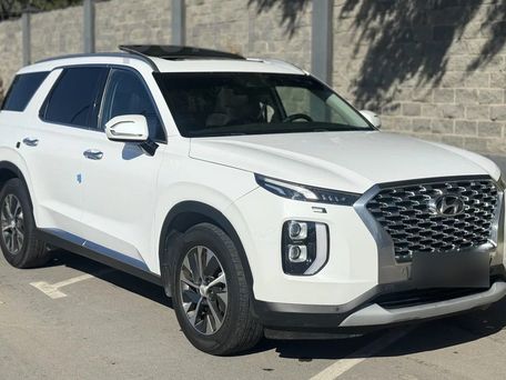 Hyundai Palisade, 2024 — фото 2