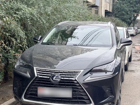 Lexus NX, 2019 — фото 1