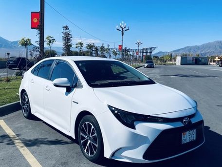 Toyota Levin, 2023 — 照片 1