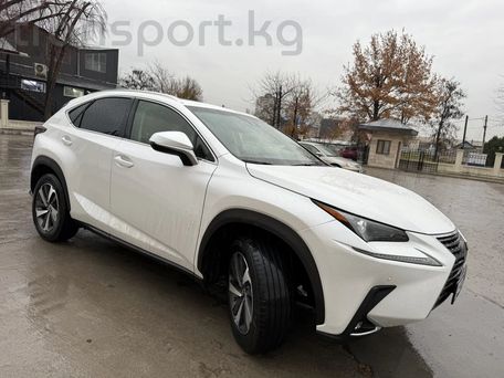 Lexus NX, 2019 — photo 4