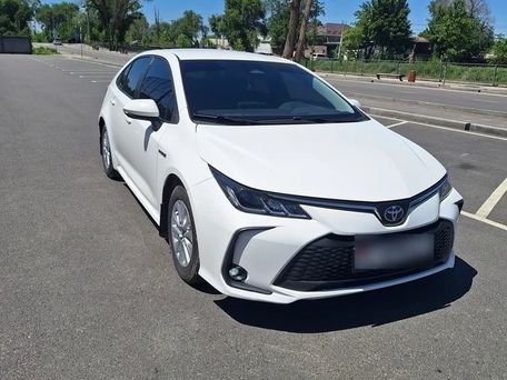 Toyota Corolla, 2023 — 照片 5
