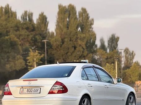 Mercedes-Benz E-Класс, 2008 — фото 11