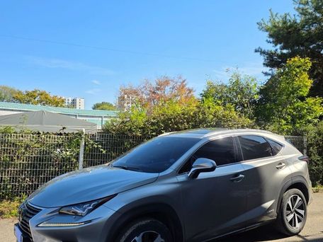 Lexus NX, 2020 — сүрөт 6