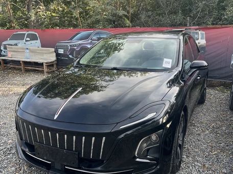 Hongqi E-QM5, 2021 — сүрөт 4