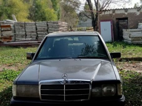Mercedes-Benz 190 (W201), 1991 — photo 1
