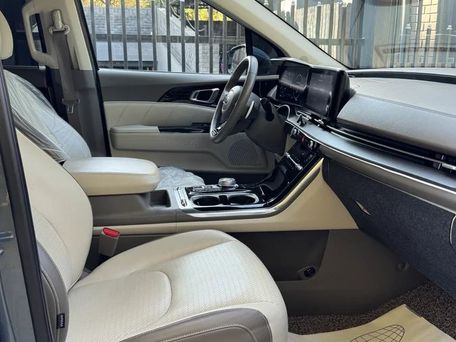 Kia Carnival, 2020 — фото 8