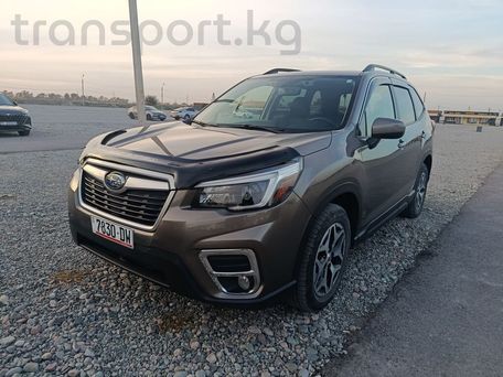 Subaru Forester, 2021 — фото 1