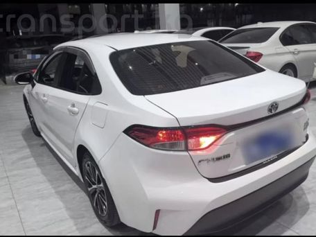 Toyota Levin, 2023 — 照片 3